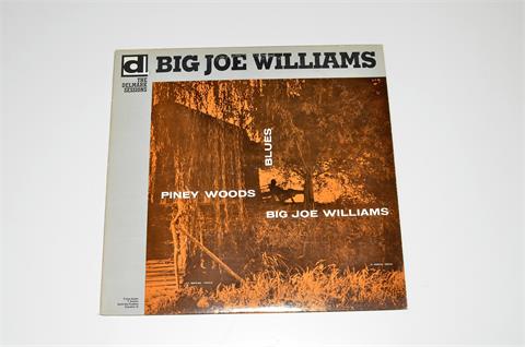 Big Joe Williams - Piney Woods Blues
