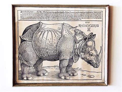 Alter Kunstdruck "Rhinocerus von Albrecht Dürer"